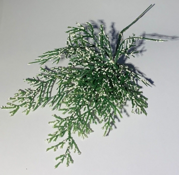 Zweig verschneit / Juniperus Zweig mit Schnee